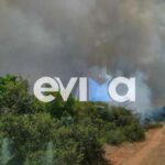 Πυρκαγιά σε δασική έκταση στην περιοχή Όρος Χτυπάς στη Ριτσώνα Ευβοίας