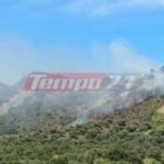 Πυρκαγιά σε δασική έκταση στο Ευηνοχώρι Μεσολογγίου