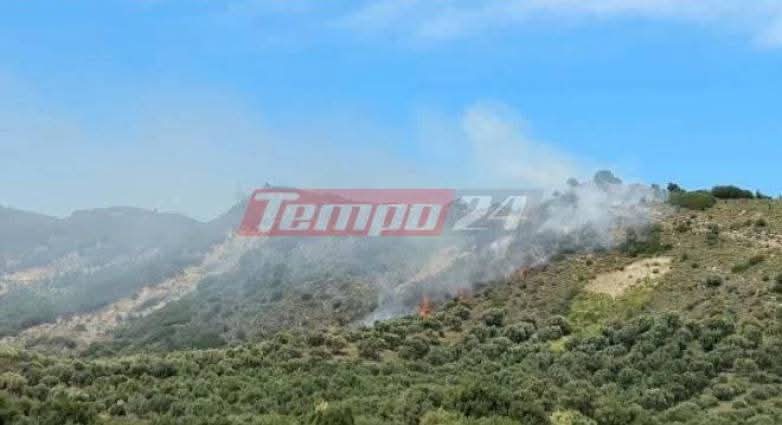 Πυρκαγιά σε δασική έκταση στο Ευηνοχώρι Μεσολογγίου