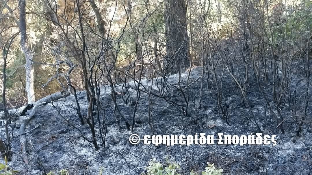 Άμεσα τέθηκε υπό έλεγχο πυρκαγιά σε δασική έκταση στην περιοχή Πούντα Γλώσσας Σκοπέλου Άμεσα τέθηκε υπό έλεγχο πυρκαγιά σε δασική έκταση στην περιοχή Πούντα Γλώσσας Σκοπέλου