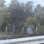 Πυρκαγιά σε χαμηλή βλάστηση στο ύψος του 56ου χλμ της Ε.Ο. Αθηνών- Θεσσαλονίκης στον Αυλώνα