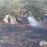 Άμεσα τέθηκε υπό μερικό έλεγχο πυρκαγιά σε δασική έκταση στο άλσος Τσαμάκια στην Μυτιλήνη