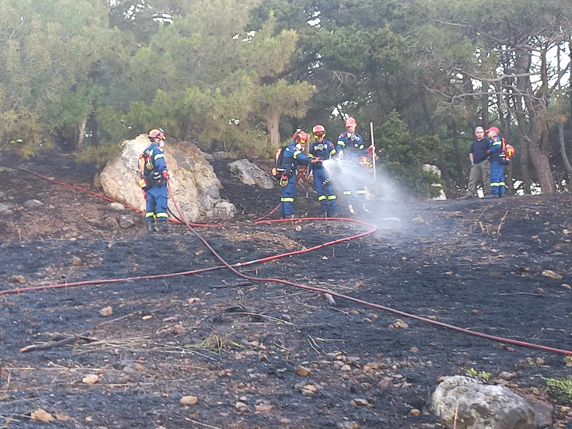 Άμεσα τέθηκε υπό μερικό έλεγχο πυρκαγιά σε δασική έκταση στο άλσος Τσαμάκια στην Μυτιλήνη