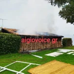 Πυρκαγιά σε αποθηκευτικό χώρο στην Αιγιάλεια Αχαΐας