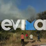 Πυρκαγιά σε δασική έκταση στην περιοχή Αλμυροπόταμος Ευβοίας