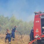Πυροσβεστική: 34 αγροτοδασικές πυρκαγιές το τελευταίο 24ωρο