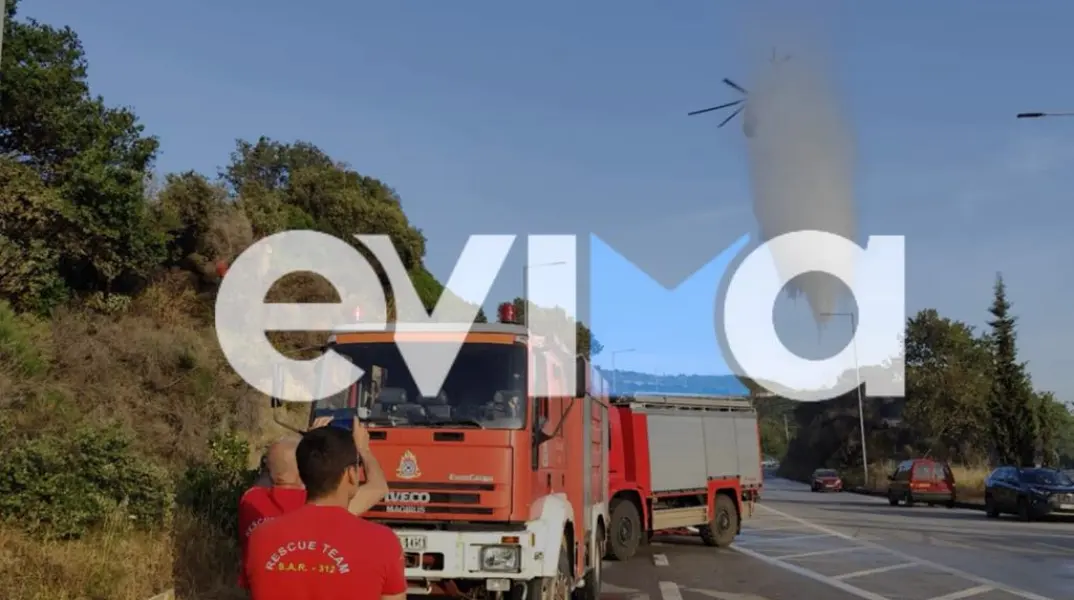 Συνελήφθη 87χρονος για πρόκληση πυρκαγιάς στον Αλμυροπόταμο Εύβοιας – Του επιβλήθηκε πρόστιμο 3.093,75€
