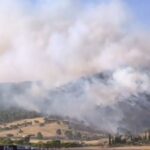 Πυρκαγιά σε χαμηλή βλάστηση στο Σοφό Ασπροπύργου