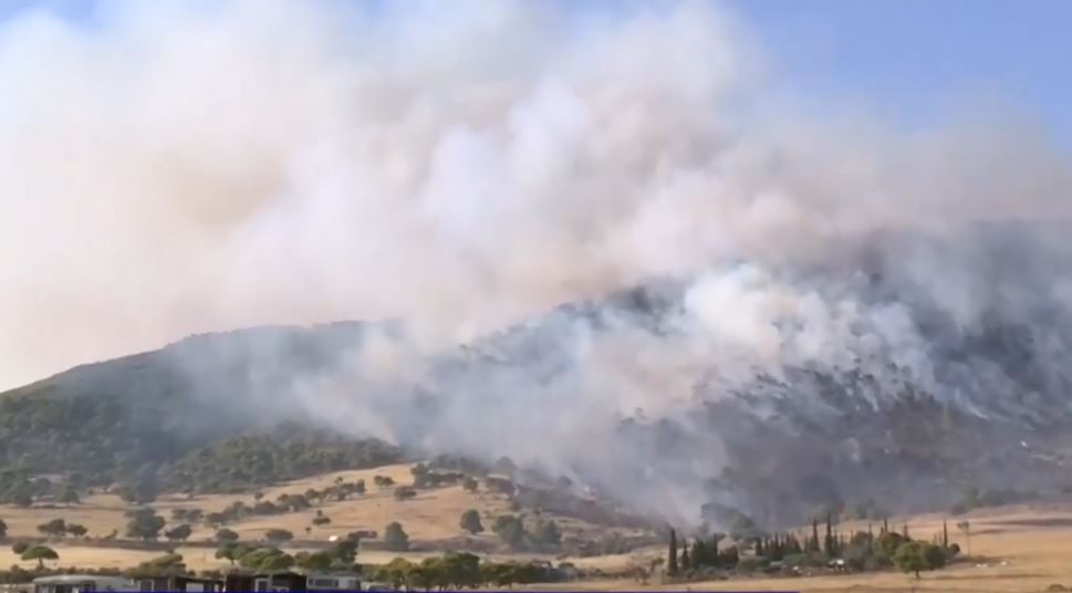 Πυρκαγιά σε χαμηλή βλάστηση στο Σοφό Ασπροπύργου