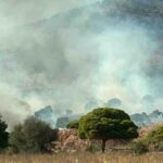Πυρκαγιά σε χαμηλή βλάστηση στην περιοχή Σοφό Ασπροπύργου