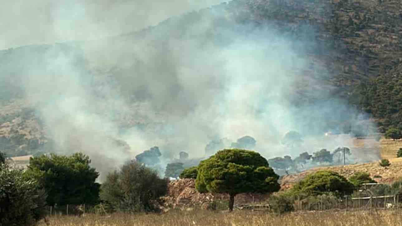 Πυρκαγιά σε χαμηλή βλάστηση στην περιοχή Σοφό Ασπροπύργου Πυρκαγιά σε χαμηλή βλάστηση στην περιοχή Σοφό Ασπροπύργου