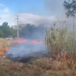 Πυρκαγιά σε οικόπεδο με χαμηλή βλάστηση στη Βουλιαγμένη