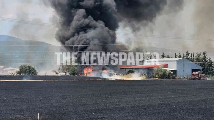 Πυρκαγιά σε αγροτική περιοχή στην ευρύτερη περιοχή του Αλμυρού Μαγνησίας