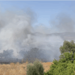 Πυρκαγιά σε χαμηλή βλάστηση στα Μέγαρα Αττικής