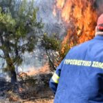 Πυρκαγιά σε δασική έκταση στην περιοχή Άγιος Νεκτάριος στα Βίλια Αττικής