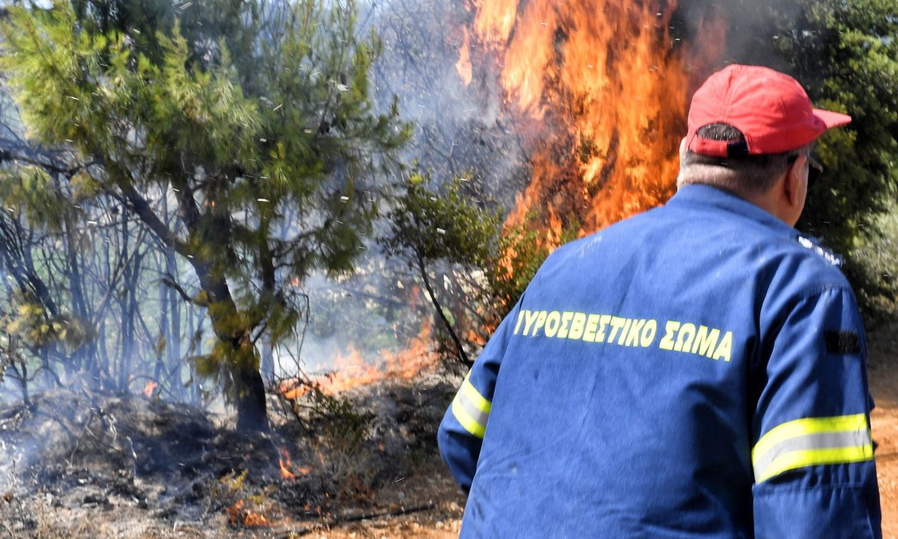 Πυρκαγιά σε δασική έκταση στην περιοχή Άγιος Νεκτάριος στα Βίλια Αττικής