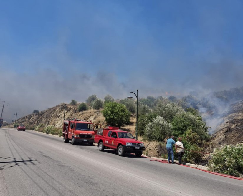 Πυρκαγιά σε δασική έκταση στην περιοχή Κοφινάς Χίου
