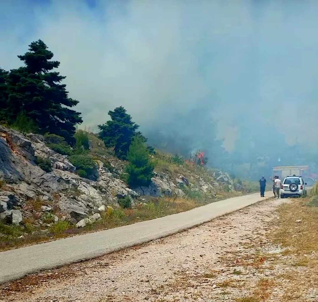 Πυρκαγιά σε δασική έκταση στην περιοχή Άγιος Νεκτάριος στα Βίλια Αττικής