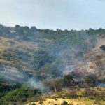 Πυρκαγιά σε δασική έκταση στην περιοχή Δρυόφυτο Πρέβεζας
