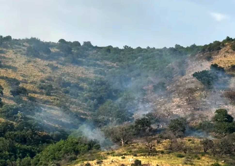 Πυρκαγιά σε δασική έκταση στην περιοχή Δρυόφυτο Πρέβεζας
