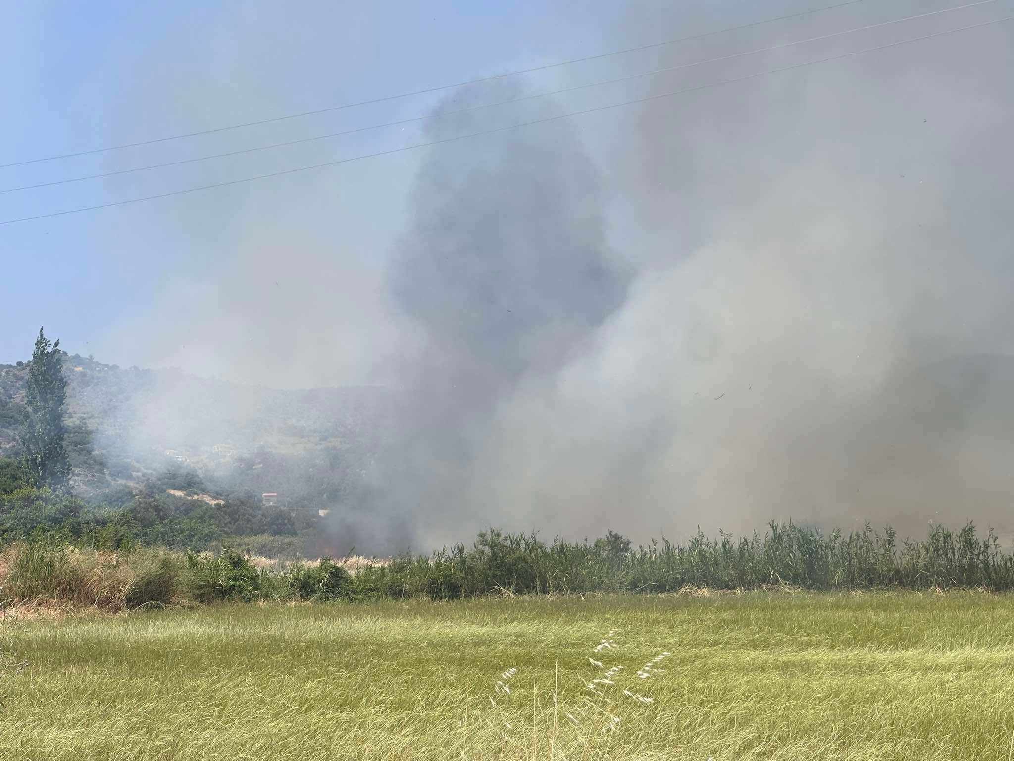 Πυρκαγιά σε χαμηλή βλάστηση στην Καλλονή της Λέσβου
