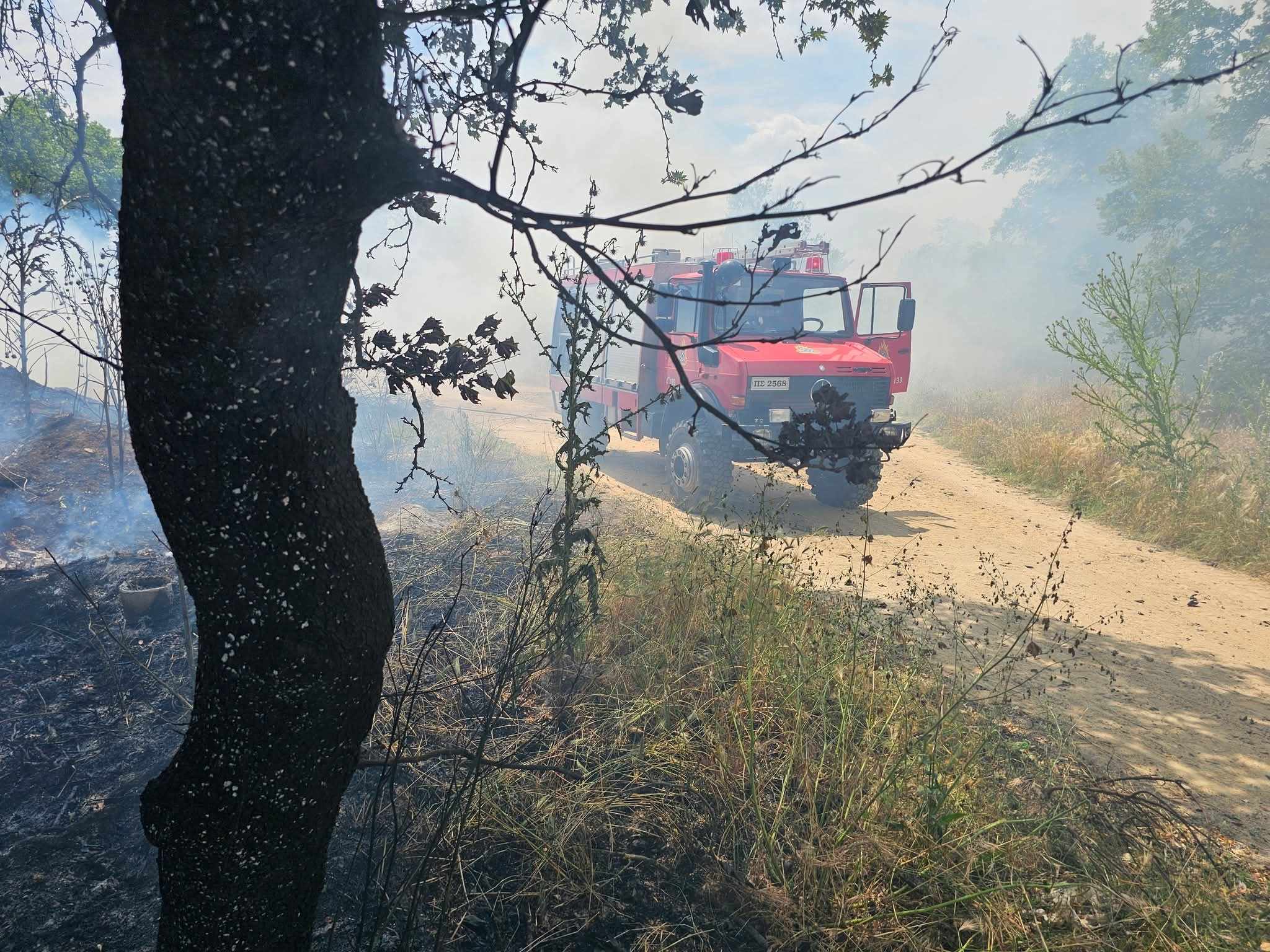 Συλλήψεις και πρόστιμα για παραβάσεις της νομοθεσίας πυροπροστασίας σε όλη τη χώρα