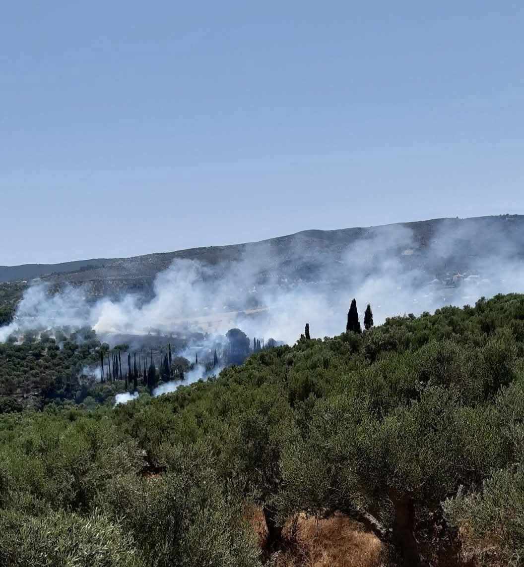 Πυρκαγιά σε γεωργική έκταση στην περιοχή Χαρακοπιό Μεσσηνίας