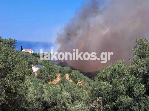 Πυρκαγιά σε αγροτική έκταση στην περιοχή Άγιος Στέφανος Λακωνίας