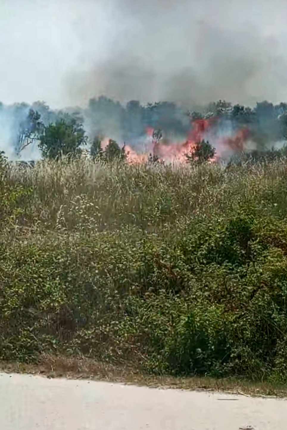 Πυρκαγιά σε χαμηλή βλάστηση στην περιοχή Άβδηρα Ξάνθης