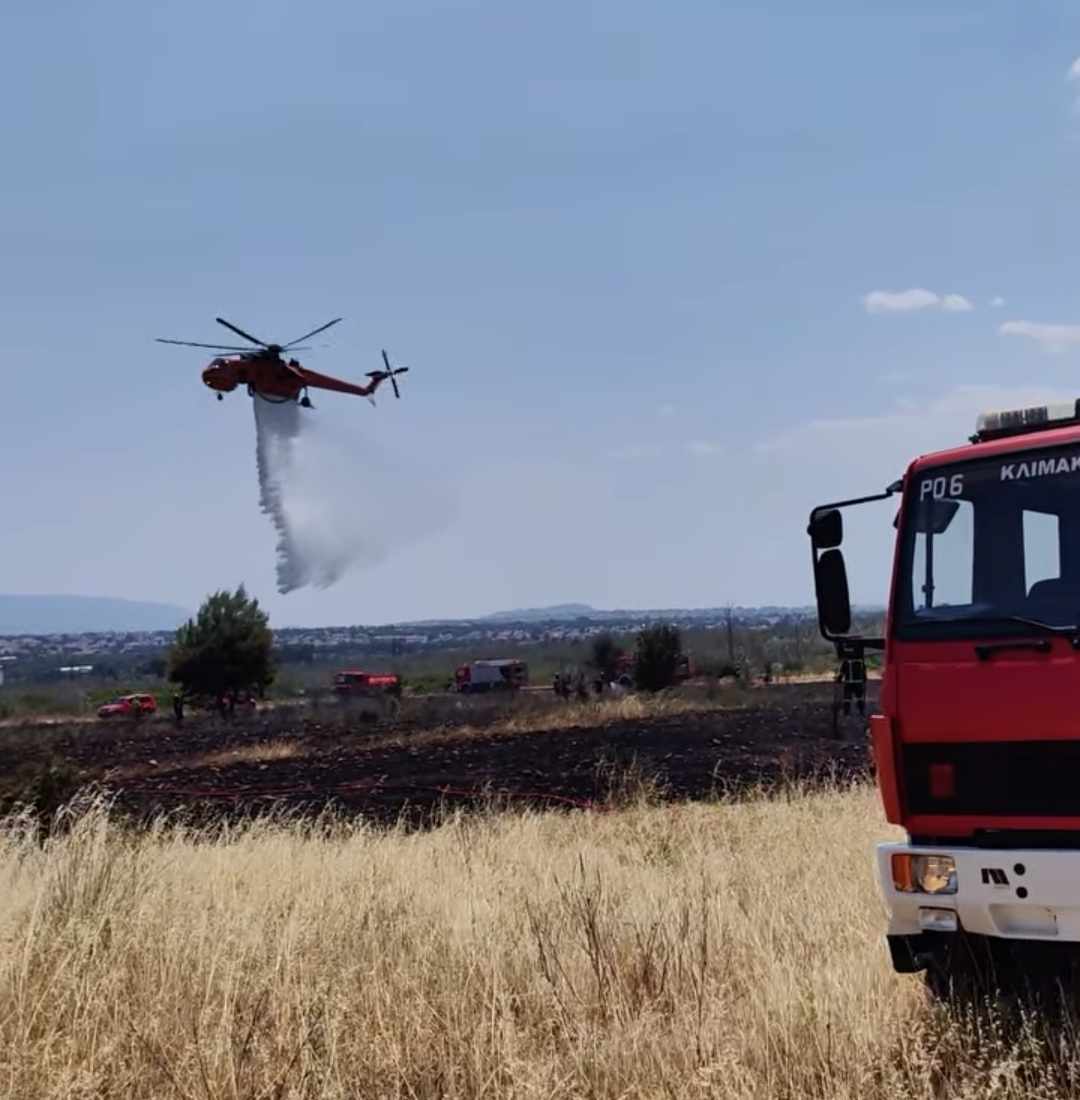 Πυρκαγιά σε χαμηλή βλάστηση στο Κρυονέρι Αττικής