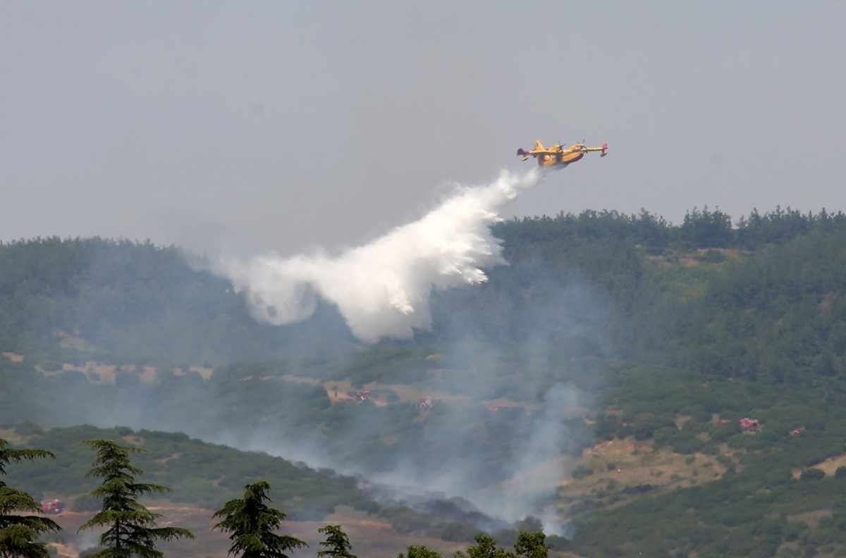 Πυροσβεστική: 33 αγροτοδασικές πυρκαγιές το τελευταίο 24ωρο