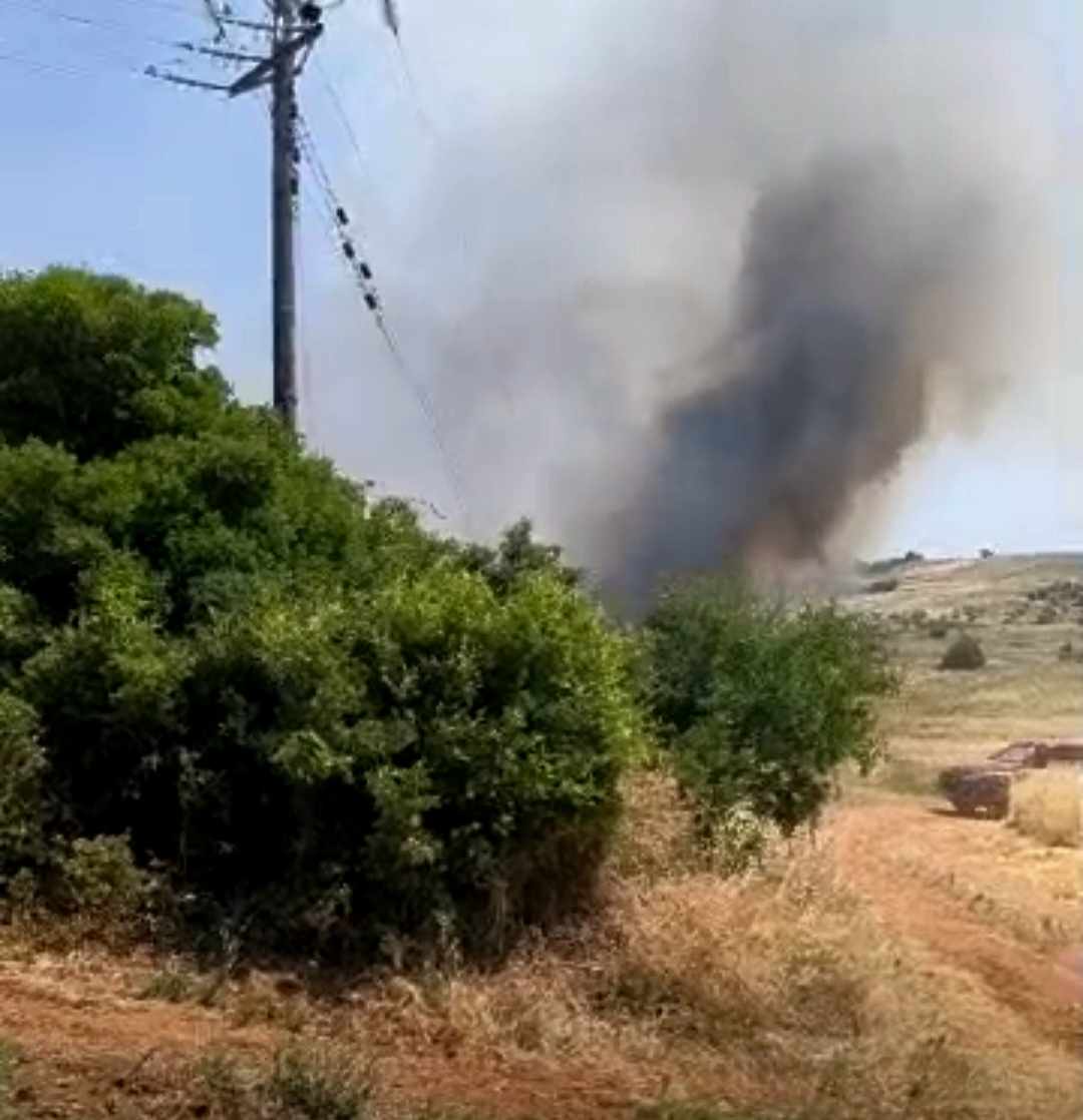 Πυρκαγιά σε αγροτοδασική έκταση στην περιοχή Λεοντάρι Βοιωτίας