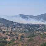 Πυρκαγιά σε χαμηλή βλάστηση στην Ανάβυσσο