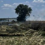 Πυρκαγιά σε χορτολιβαδική έκταση στο Φυλακτό Έβρου