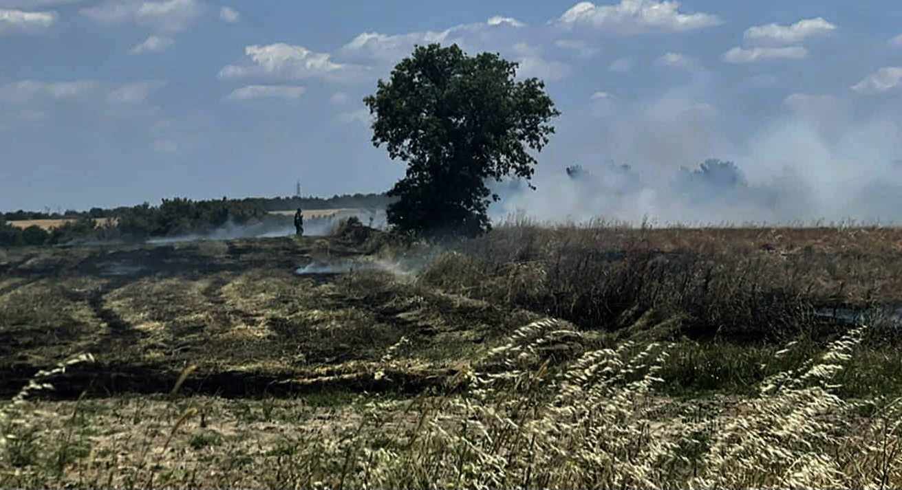 Πυρκαγιά σε χορτολιβαδική έκταση στο Φυλακτό Έβρου