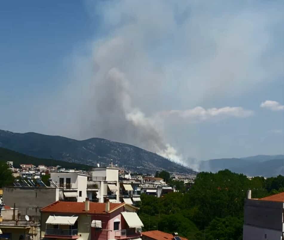 Πυρκαγιά σε δασική έκταση στην περιοχή Χωριστή στην Δράμα