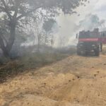 Πυρκαγιά σε αγροτοδασική έκταση στον Νέο Ωρωπό Πρέβεζας
