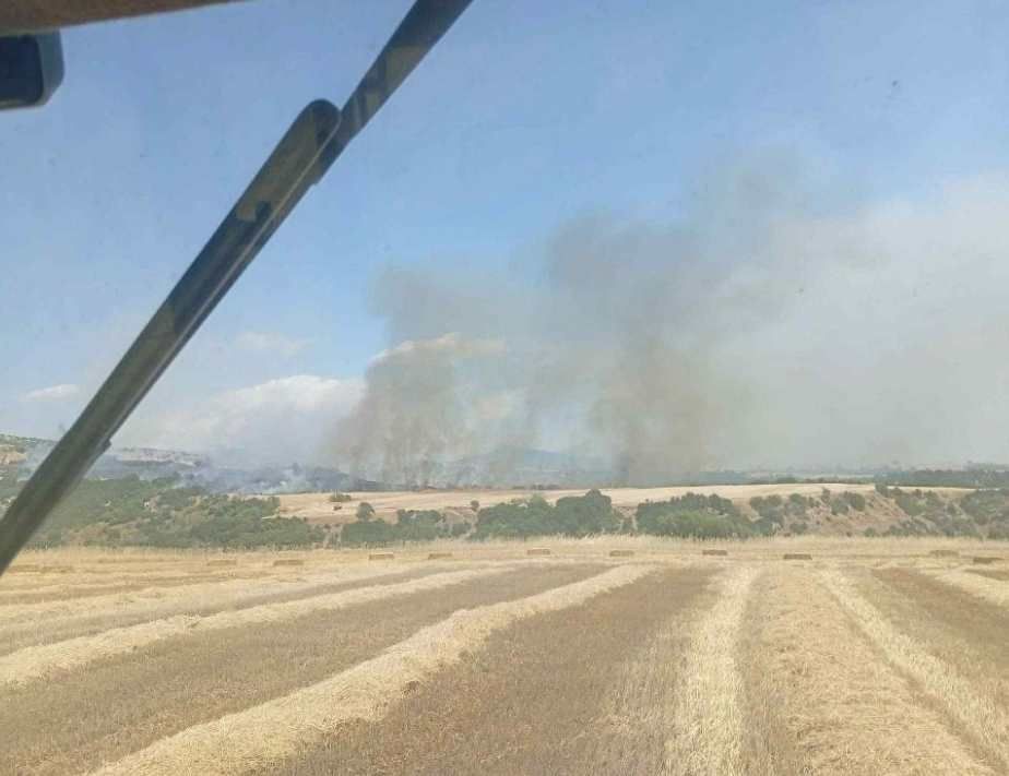Πυρκαγιά σε δασική έκταση στο Μελενικίτσι Σερρών