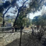Πυρκαγιά σε δασική έκταση πλησίον Μονής Πεντέλης