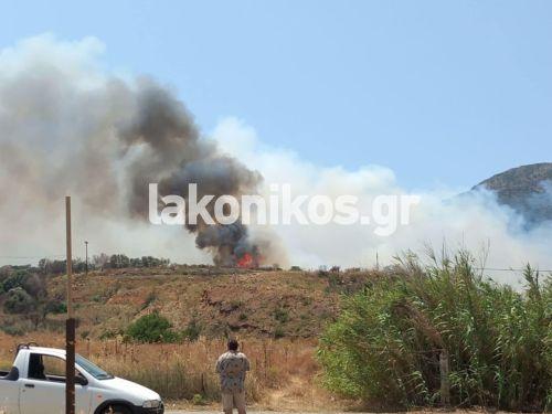 Πυρκαγιά σε αγροτική έκταση στην περιοχή Άγιος Στέφανος Λακωνίας