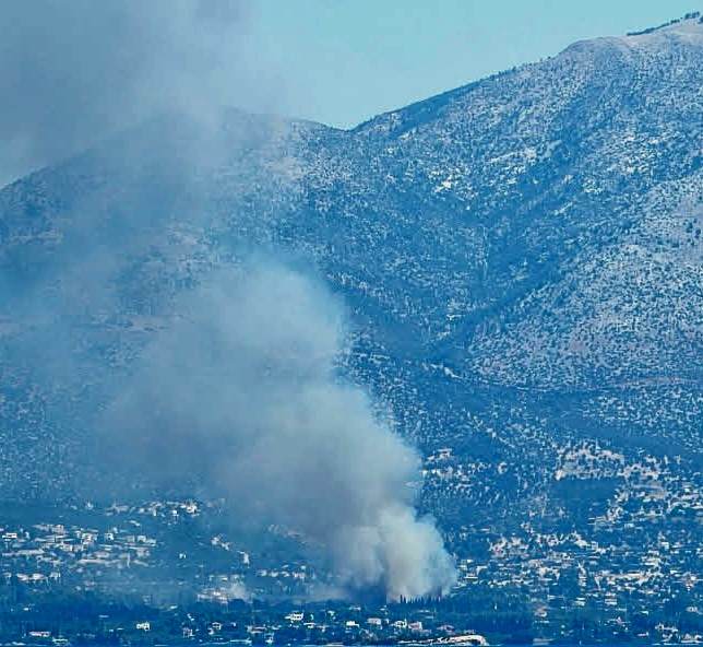 Πυρκαγιά σε αγροτική έκταση στην περιοχή Λιανή Άμμος Ευβοίας Πυρκαγιά σε αγροτική έκταση στην περιοχή Λιανή Άμμος Ευβοίας