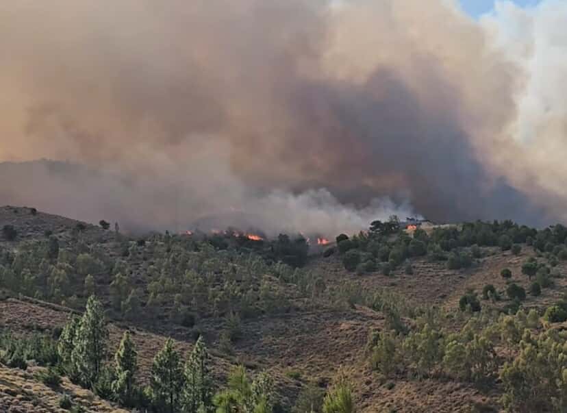 Μάχη με τις φλόγες στη Χίο – Τεράστια κινητοποίηση από αέρα και ξηρά