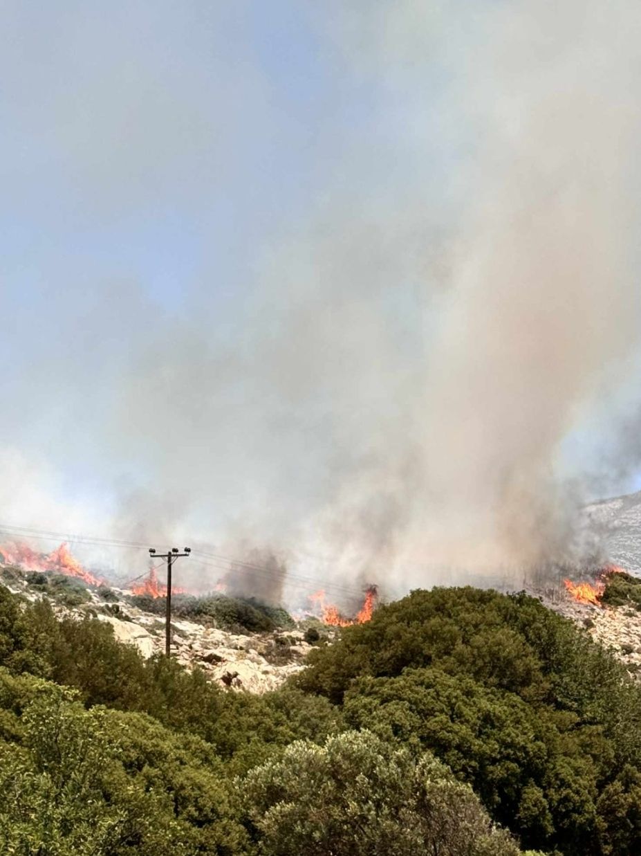 Πυρκαγιά σε δασική έκταση στον Κινίδαρο Νάξου