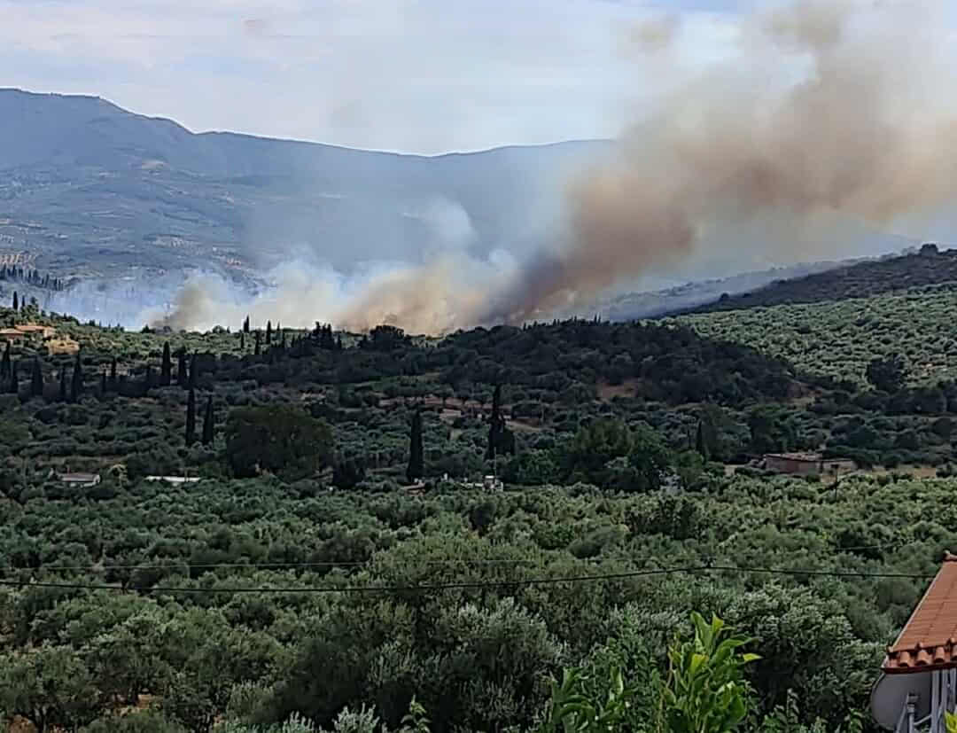 Πυρκαγιά σε αγροτοδασική έκταση στο Κοπανάκι Μεσσηνίας