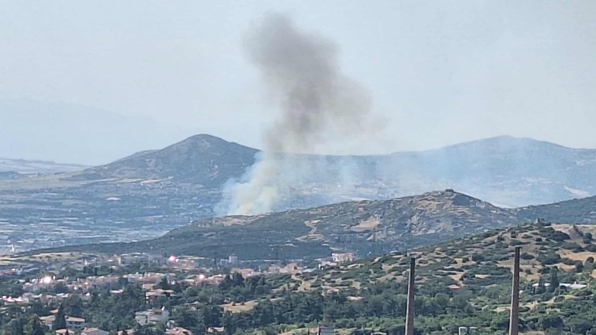 Πυρκαγιά σε δασική έκταση στην περιοχή Ευκαρπία Θεσσαλονίκης