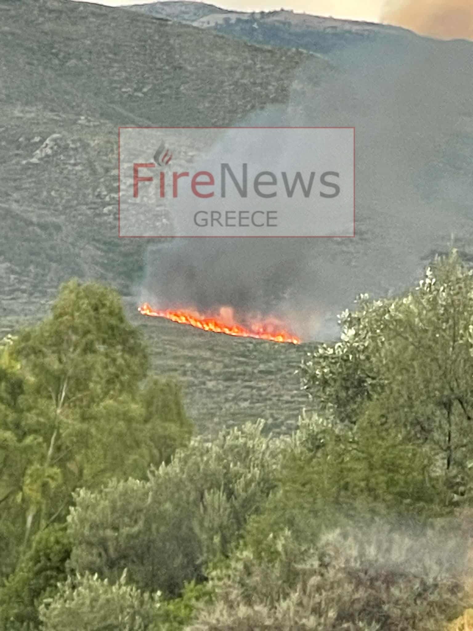 Πυρκαγιά σε δασική έκταση στους Αγίους Αναργύρους Σπάρτης