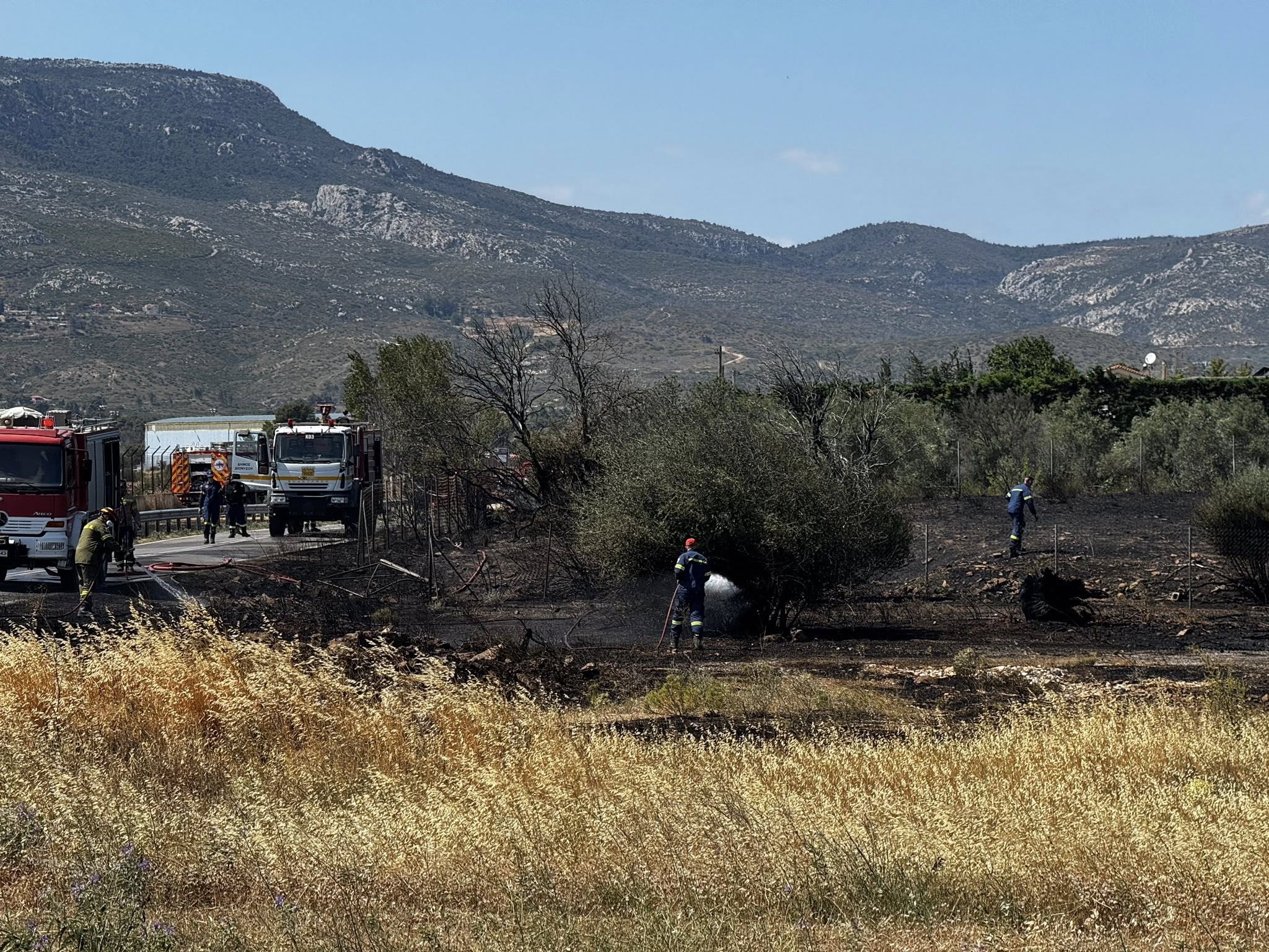 Άμεσα τέθηκε υπό έλεγχο η πυρκαγιά σε χαμηλή βλάστηση στην Βαρυμπόμπη