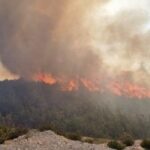 Πυρκαγιά σε αγροτοδασική έκταση στα Κάτω Κρυά Λασιθίου