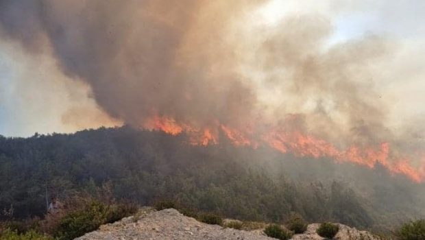 Πυρκαγιά σε αγροτοδασική έκταση στα Κάτω Κρυά Λασιθίου