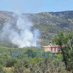 Πυρκαγιά σε αγροτική έκταση στην περιοχή Μετόχι Αργολίδας